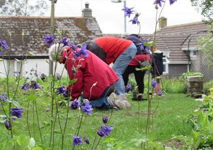 People planting wild flowers
