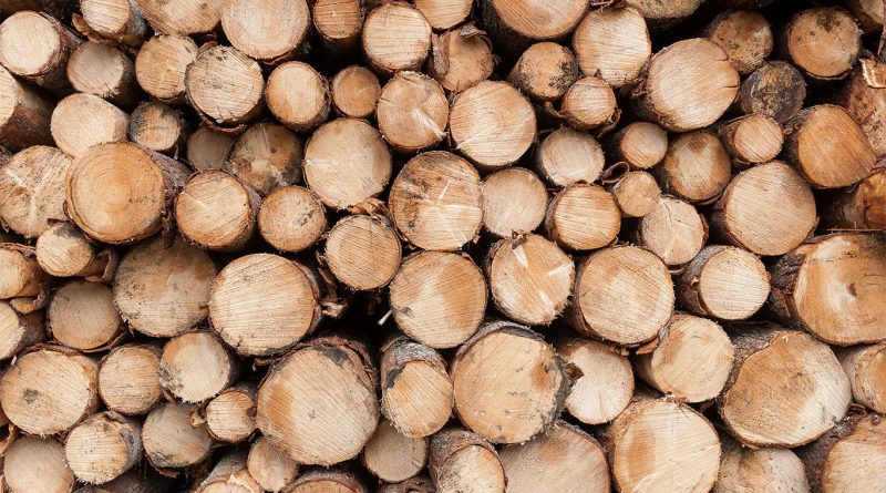 Image of numerous different shaped and sized wooden logs piled on top of each other to support sustainable timber article