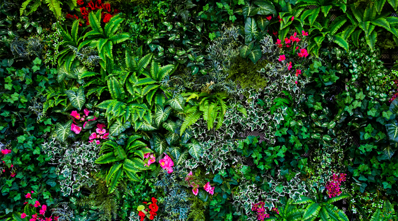 Vertical meadow displaying various different wildflowers to support construction article
